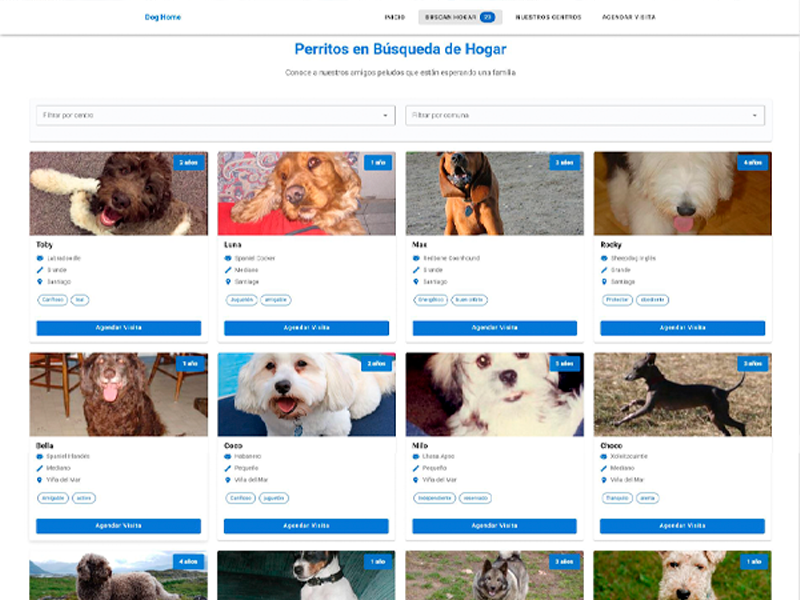 Vista previa del proyecto Dog Home